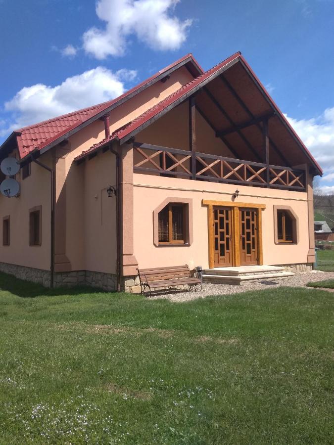 Затишок В Карпатах Βίλα Γιαρέμτσε Εξωτερικό φωτογραφία