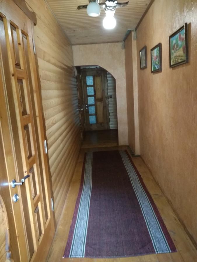 Затишок В Карпатах Βίλα Γιαρέμτσε Εξωτερικό φωτογραφία