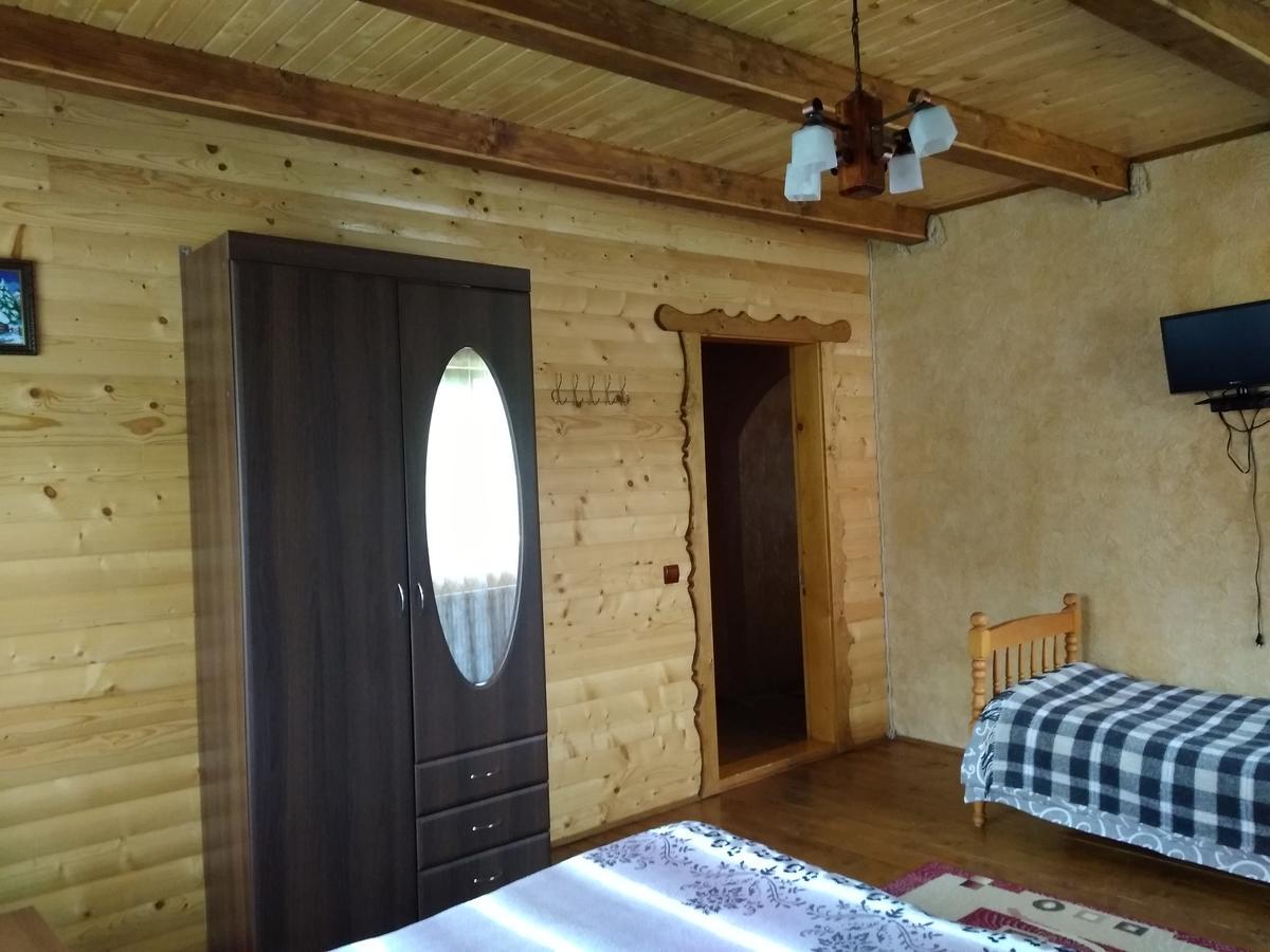 Затишок В Карпатах Βίλα Γιαρέμτσε Εξωτερικό φωτογραφία
