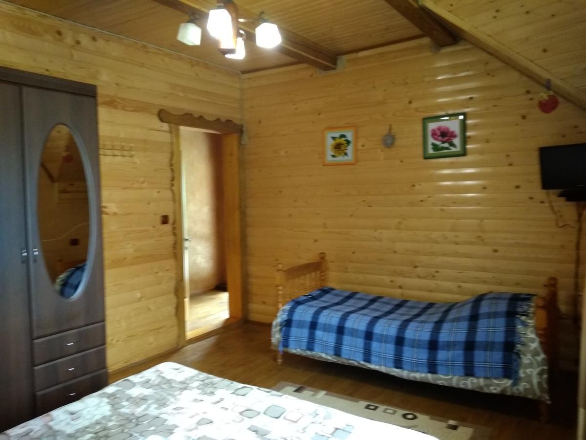 Затишок В Карпатах Βίλα Γιαρέμτσε Εξωτερικό φωτογραφία